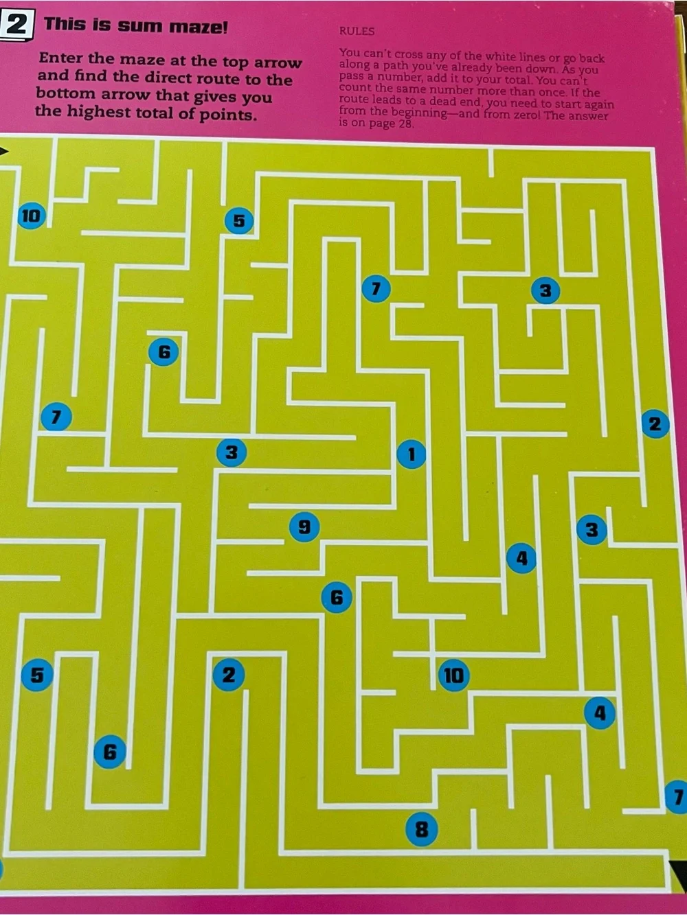 Fun Brain Boggler Puzzle Book Activities
